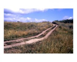 10274932B_Road_Russia_Posters.jpg