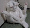 avatar1..gif