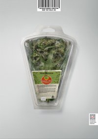 FADAHerbs.jpg