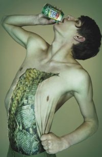 09.jpg