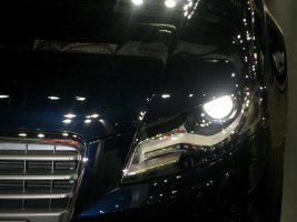 IMG_0271.jpg