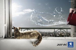 peugeotcat.jpg