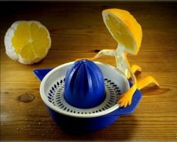 Funny_Fruits_10.jpg
