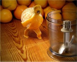 Funny_Fruits_12.jpg