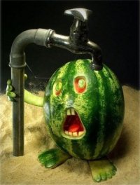 Funny_Fruits_17.jpg