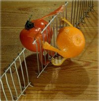 Funny_Fruits_18.jpg