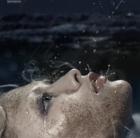 120888035042541500pvip.jpg