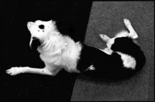 038_photofile.jpg