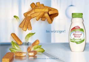 1210496689_kraftmiracelfish.jpg