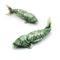 dollar_kois_by_orudorumagi11.jpg