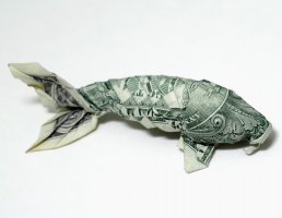 One_dollar_koi_new_ver__side_by_orudorumagi11.jpg