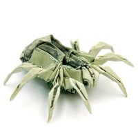 Two_Dollar_Spider_by_orudorumagi11.jpg
