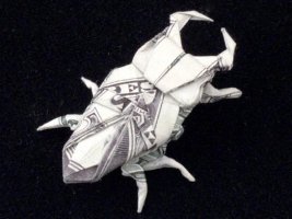 One_Dollar_Stag_Beetle_by_orudorumagi11.jpg