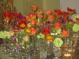 IMG_0798.jpg
