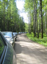 IMG_1212.jpg