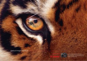 canon_image3.jpg