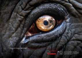 canon_image1.jpg