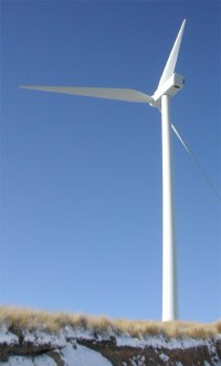 chegoeto4.jpg