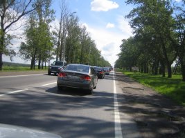 IMG_1408.jpg