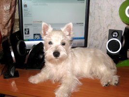 IMG_0494.jpg