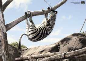 animals_01.jpg