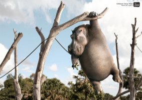 animals_03.jpg