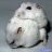 Der Hamster